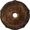 Ekena Millwork Attica with Rose Ceiling Medallion (Fits Canopies up to 4 1/2"), 26"OD x 3 3/4"ID x 1 1/2"P, Rust CM26ATRUS - alternate 1